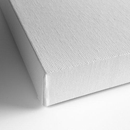 The Holiday Aisle® Santa Believes On Canvas Graphic Art & Reviews Wayfair